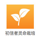 The Spiritual Starter Kit